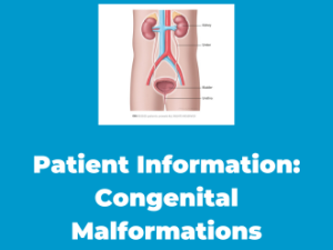 Patient Information: Congenital Malformations of the Urinary Tract