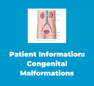Patient Information: Congenital Malformations of the Urinary Tract