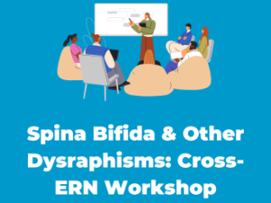 Spina Bifida & Other Dysraphisms: Cross-ERN Workshop