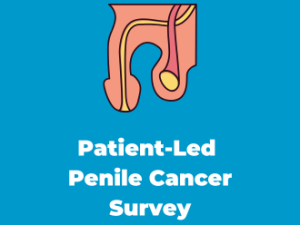 Penile Cancer: Insights from a Patient-Led Survey