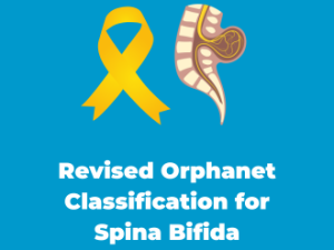 Revised Orphanet Classification for Spina Bifida and Other Spinal Dysraphisms
