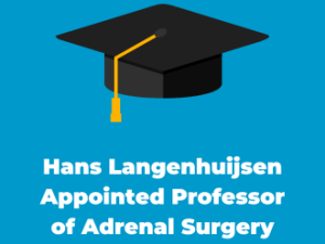 Hans Langenhuijsen Appointed Professor of Adrenal Surgery