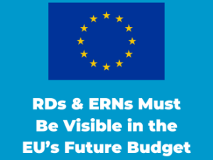 Rare Diseases and ERNs Must Remain Visible in the EU’s Future Budget